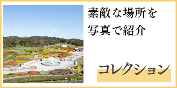 2018.07.25：Miracooコレクション更新　仙台・宮城の素敵で楽しいスポットをご紹介